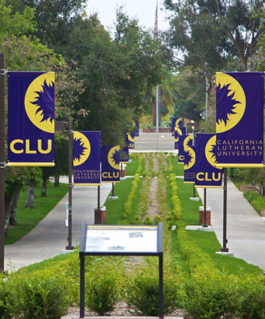 CLU