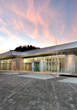 College of Marin